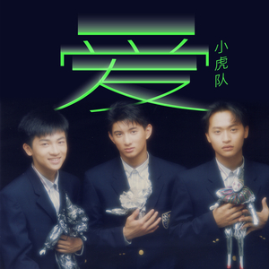 男人茎进女人阳道视频
