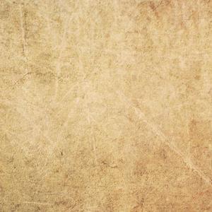 男人茎进女人阳道视频
