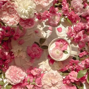 男人茎进女人阳道视频
