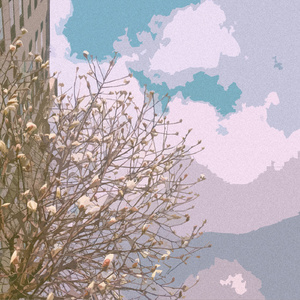 男人茎进女人阳道视频
